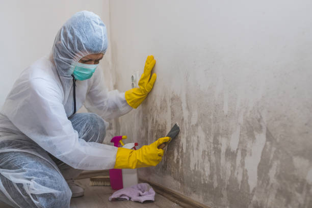 Best Crawl Space Mold Removal  in Maineville, OH