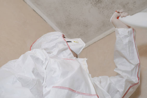 Mold Testing and Removal in Maineville, OH